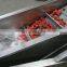 Industrial citrus fruit sorting vegetable grading  washing machine from China factory