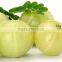 Best Quality Embilica Officinalis Powder For Sales
