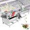 Automatic Fresh Fruit Cleaner Salad Washer Vegetable Washing Machine CE Price