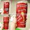Hot selling Christmas 30oz thermal insulation double wall stainless steel tumbler with lid