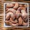 Cheap Cashew Nuts W180 W240 W320 W450 high quality cashew made in Vietnam