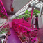 40 HQ commercial hydroponic systems Container Farm fodder growing system