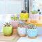 Amazon Garden Creative Succulent Flower Pot Macaron Potted Combination Ceramic Color Flower Pot