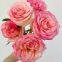 Direct Farm Supply Wholesale Real Touch Fresh Cut Rose Flower for Wedding Decoration