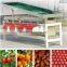 Apricot sorting machine