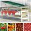 Jujube fruit grading machine/Cherry tomato sorting machine