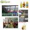 Genyond vegetables processing machine vegetables cleaning machine