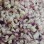 wholesales freeze dried red onion dice