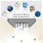 SunLed PCS01A Portable Folding Triangle Garment Steamer
