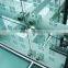 3-19mm clear float window tempered glass/safty toughen glass