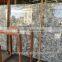 High Grade Fox Volant Marble; fantastic marbles to decorate TV walls