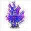 Lovely aquarium Landscaping mineral water plant cost