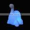 Battery operated led light for family decoration,Most popular led dinosaur gift led lamp