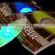 Wholesale bicycle wheel light / glowing wheel lights / Wheel Safety Light