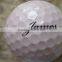 Hot Sale Wine Bottle / Golf Ball/ Medal Printing Machine