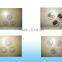 Coffee bean bag packing machine with degass valve