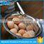 Stainless Steel Whisk Manual Egg Beater
