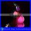 Many different designs luminous clothing with remote control