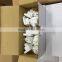 Traveling Universal to EU 2 Pin Power Plug Adapter Converter (European Russia Belarus Ukraine Korea)