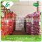 Boxing fresh shandong pear