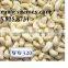 CASHEW NUT WITH HIGH QUALITY FROM VISIMEX- VIBER:VISIMEX02