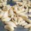CE Approved Garlic / Small Onion / Indian Garlic Peeling Machine with New Condition