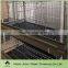 raising brolier chicken cages,fully automatic layer and brolier chicken cage