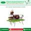 Good Quality Ant Design Garden Planter to Enhance your Garden Look