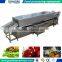 Food processing multi-functional vegetables bubble washer
