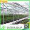 Natural color aluminium profiles greenhouse for agricultural