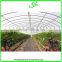 agriculture poly tunnel greenhouse for sale
