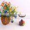 transparent borosilicate glass storage jar