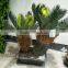 HX201704141 mini artificial bonsai for table decoration