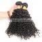 Kinky Curly Virgin Indian Hair Wholesale Unprocessed 8A Indian Human Hair Weaves Extension