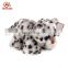 Guangdong China manufacturer stuffed animal pet puppy soft toy spotty plush dog