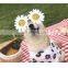Fashion Daisy Printed Dog T-shirt Dog Clothes Summer Clothing Pomeranian Teddy Schnauzer Corgi Clothes