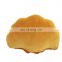 Sea Shell Shaped Throw Goose Down Pillow for Couch Sofa Home Decor Cushion