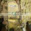 Original Used Parts C4.4 Complete Engine Assy