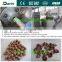 Automatic Sweet flavor syrup coating corn flakes machine food extruded production line from Darin Machinery