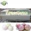 Stainless Steel Onion Skin Remove Peeling Machine/Onion Cleaning Machine