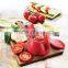 KH Familiar in ODM Factory tomato cutter
