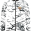 Custom Sublimation Jacket with Black Zipper Design for Men with Impressive Pattern