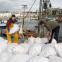 100kg flour rice 50kg bopp laminated sack pp woven bags china pp rice packing bag