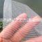 Pesticides replace anti insect nets for organic farm
