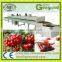 Shanghai factory Automatic Induction fruit roll up scraping forming making processing machine Fruit leather production line