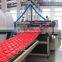 50 years useful life price of PVC+ASA glaze roofing tile production extrusion machine