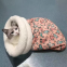 Meow Love Large Cat Nest Washable Winter Sleeping Bag with Breathable Feature for Small Animals Made of Foam Felt and PP Material
