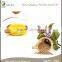 Hot Sale Perilla Oil, Refined Perilla Oil, 100% Natural Perilla Oil