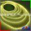 China factory 12mm PCB RGBW 5050 Chip with 2700K color led light rope DC24V