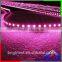 Silicon Tube Waterproof Flexible Purple SMD 2835 LED Strip Light